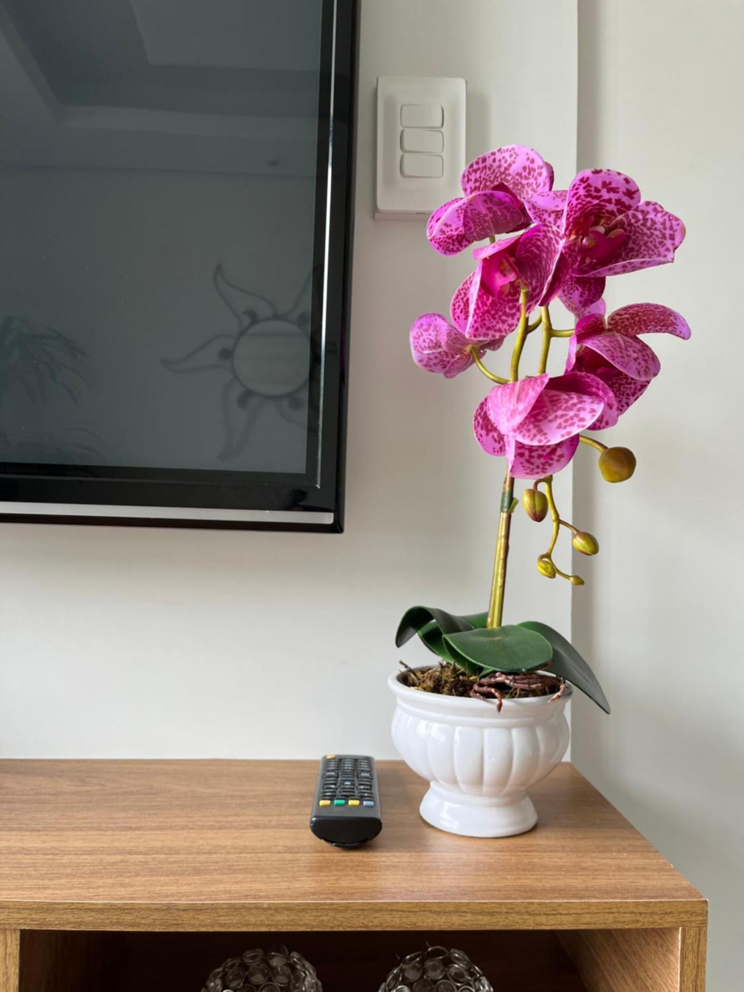 Apartamento Praia グァルジャー エクステリア 写真